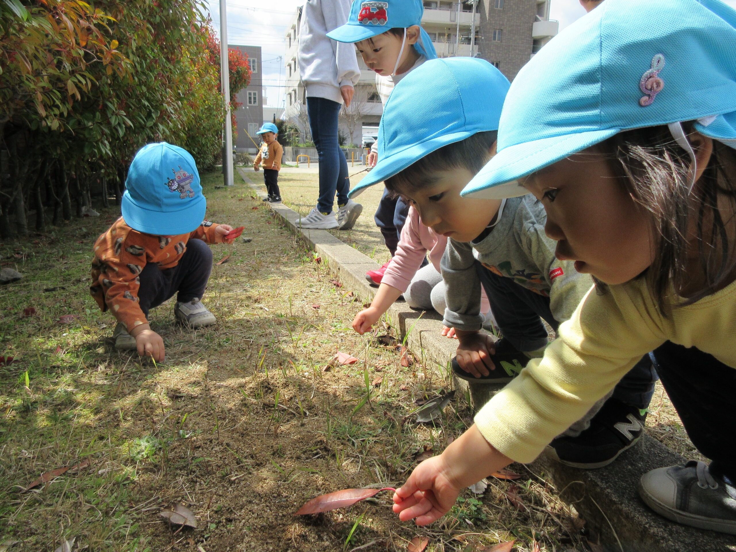五感を十分使って感覚・感性を豊かに感じとる力